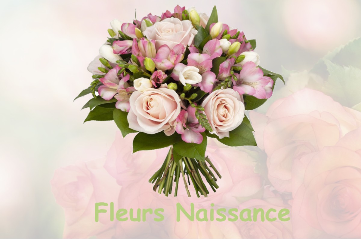 fleurs naissance CHILLE